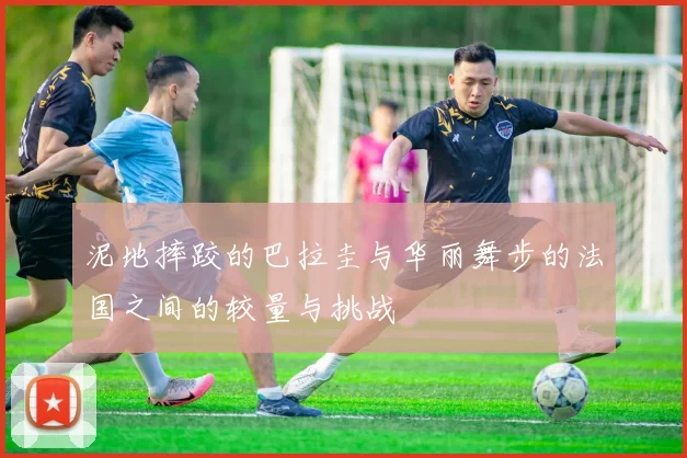 泥地摔跤的巴拉圭与华丽舞步的法国之间的较量与挑战